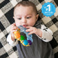 Baby Einstein, Teether-pillar Rattle and Chill Teething Aid Toy, Soothing relief, Multisensory Stimulation, Massages Sore Gums, Easy to Hold, Water filled, Ages 3 months +
